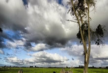 开云体育官方网站-《破译出索罗阵友萨：草根老板的跨境逆袭密码》