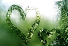 开云体育官方网站-冰川下的火焰：瑞典选手如何用实力在世界赛场熔铸北欧神话