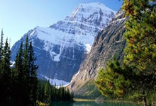 开云体育登录-橙衣惊魂夜！92分钟绝杀撕破爱尔兰铁幕，荷兰晋级之路血性重生