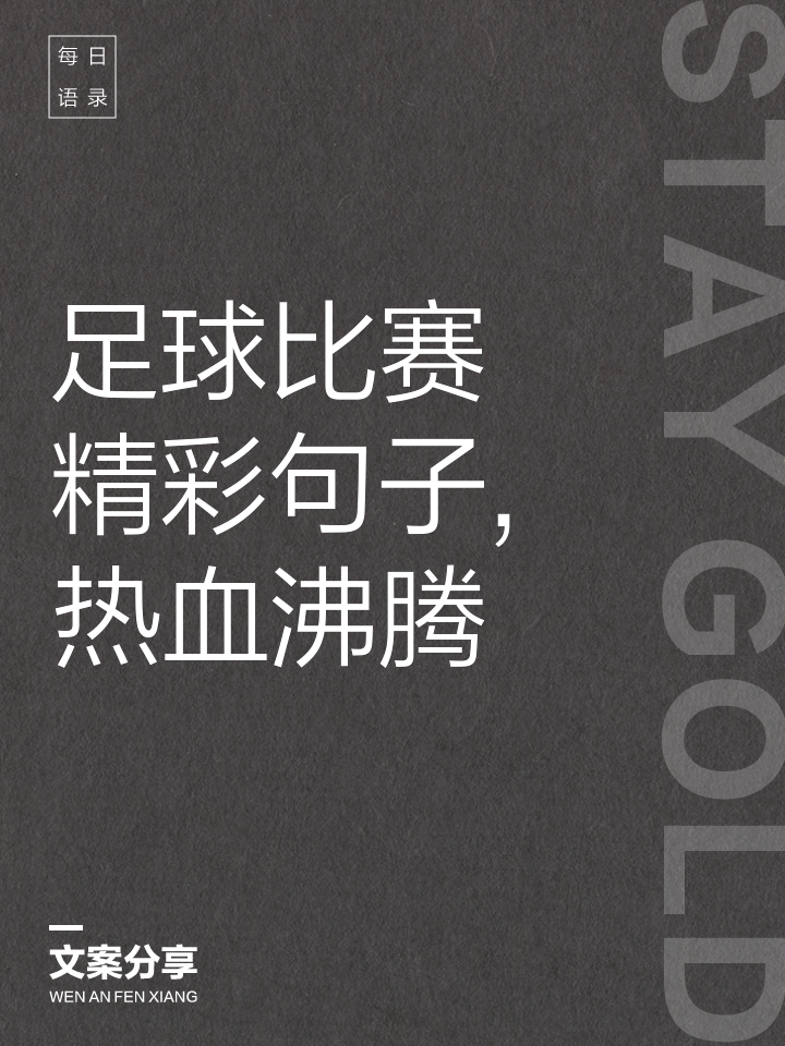 包含足球赛场上精英挥汗拼搏，掌声连连的词条