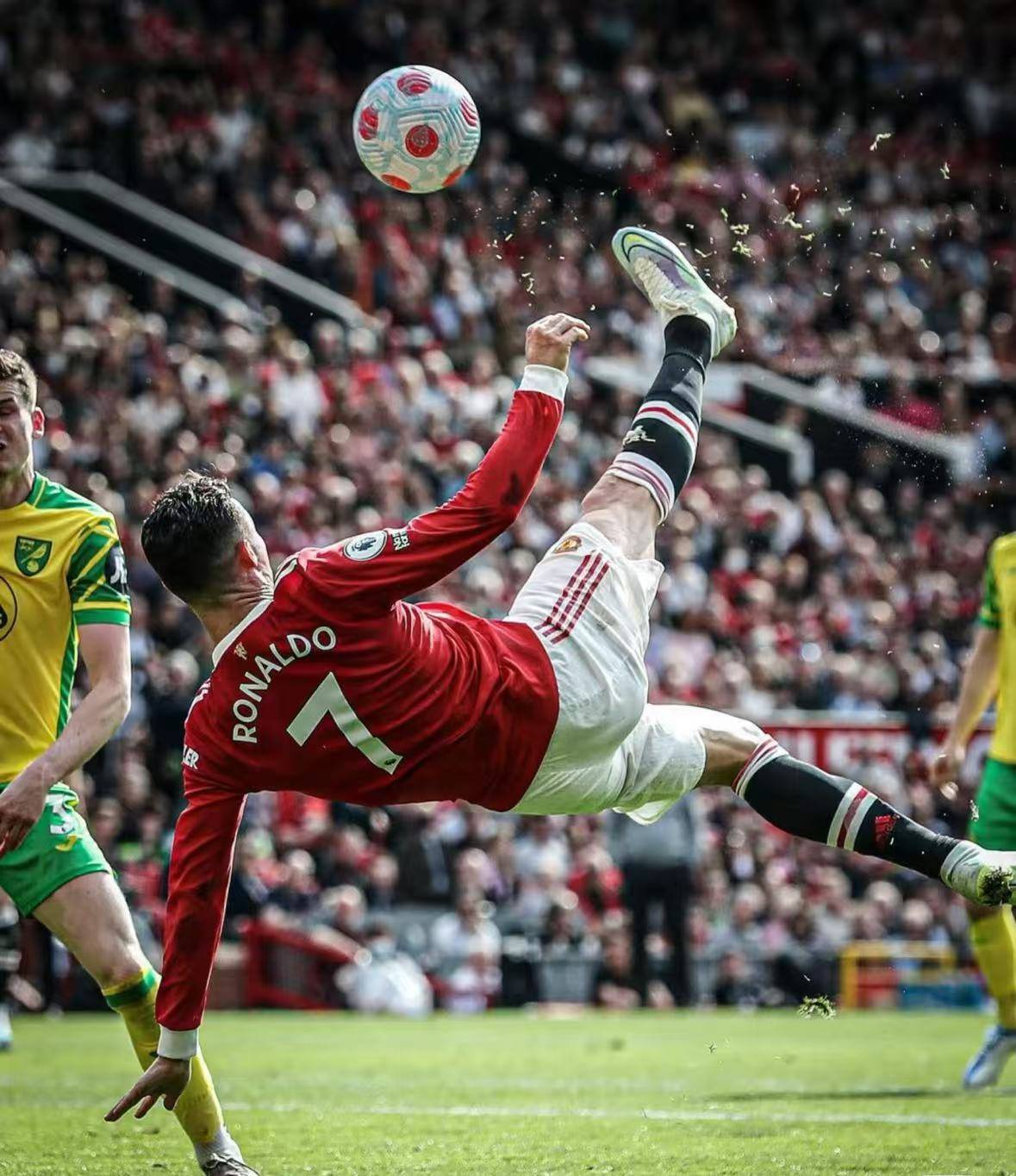 维罗纳小胜对手,实力不容忽视 维罗纳小胜对手,实力不容忽视