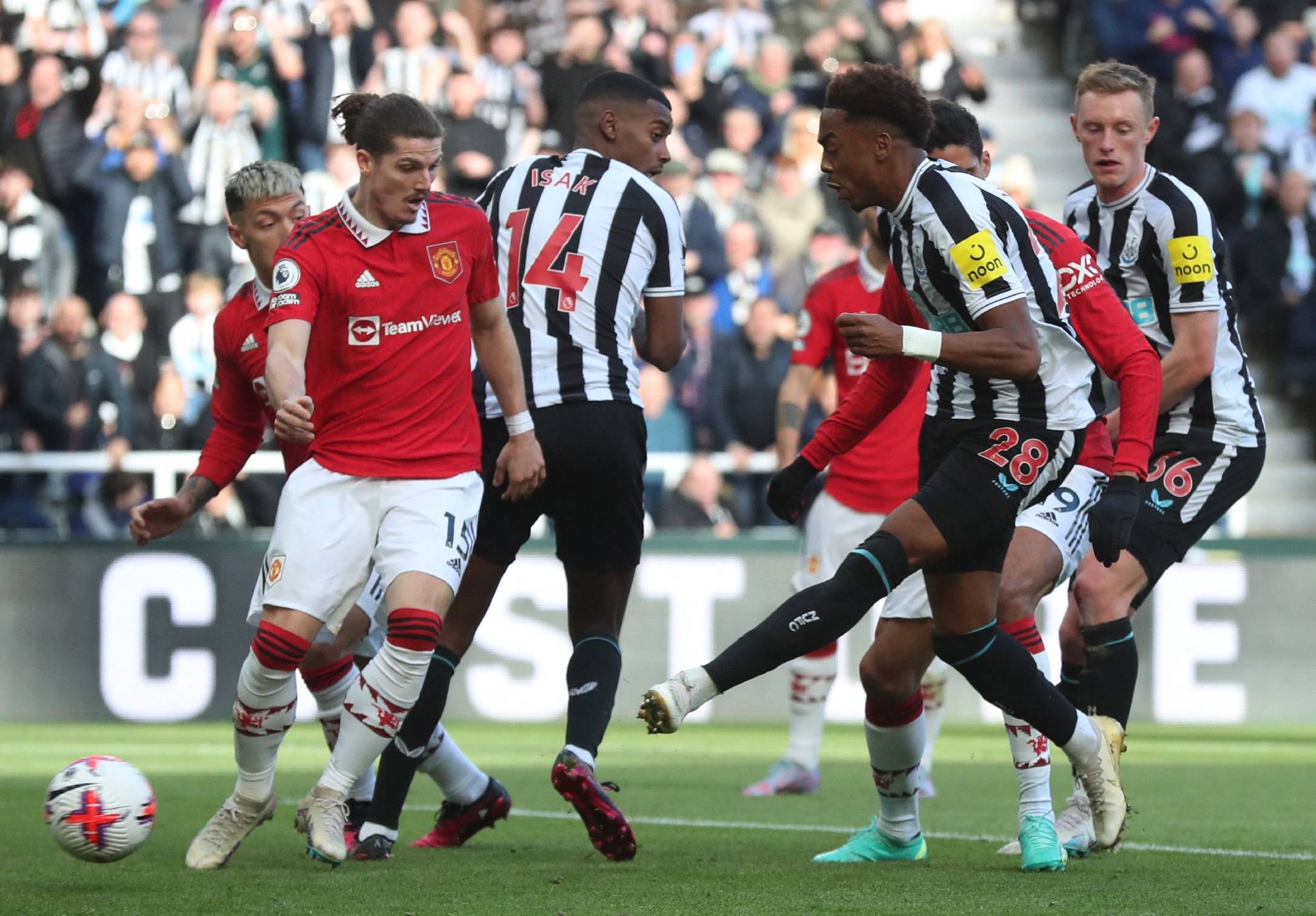 包含帕多瓦主场取胜,球队士气高昂的词条 包含帕多瓦主场取胜,球队士气高昂的词条