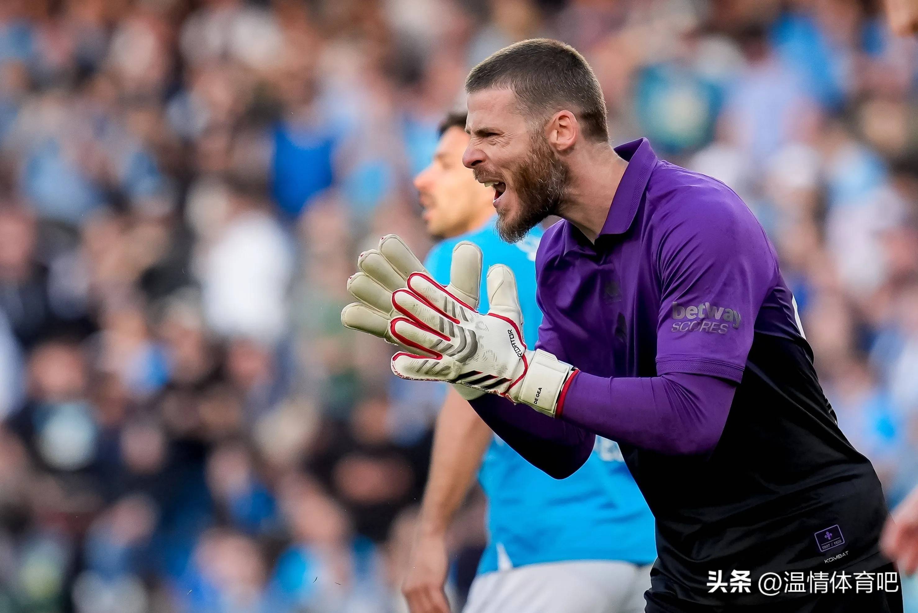 开云体育-法国队在意甲中不敌勇士，出线形势明朗