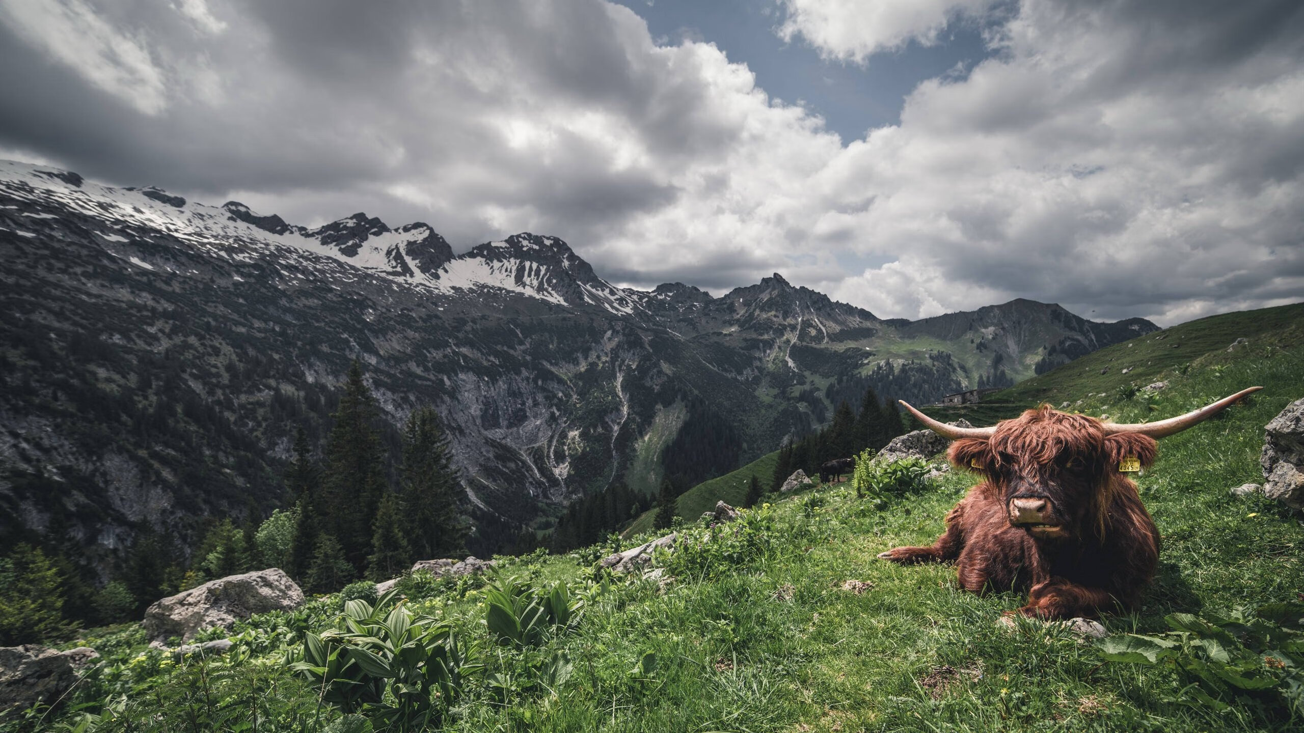 英超争冠夜拉梅洛双面统治