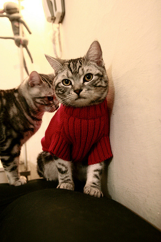 开云体育官方网站-教科书级的掌控，赖斯在英超争冠之夜定义现代中场艺术