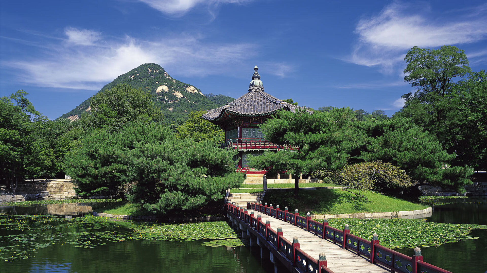 开云APP-烈焰灼尽郁金香，当个人英雄主义撞上橙衣军团的铁壁