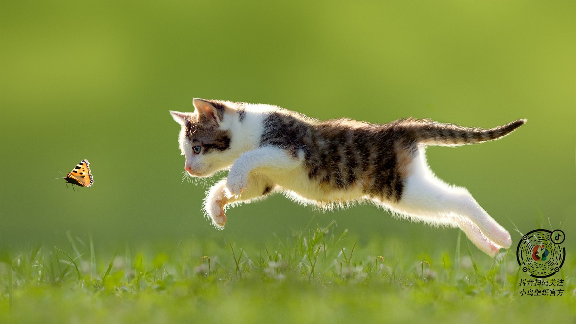 火箭强势晋级！戈贝尔29+17数据爆炸 新疆队拦路未果