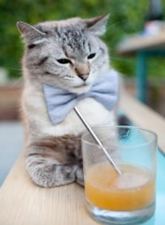 南美飓风席卷梅阿查,洪都拉斯铁血军团如何让国际米兰俯首称臣