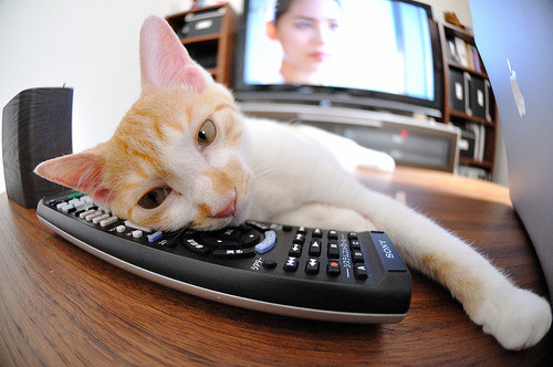 铁骑踏碎三分雨！莫兰特关键节点连斩11分撕碎勇士防线