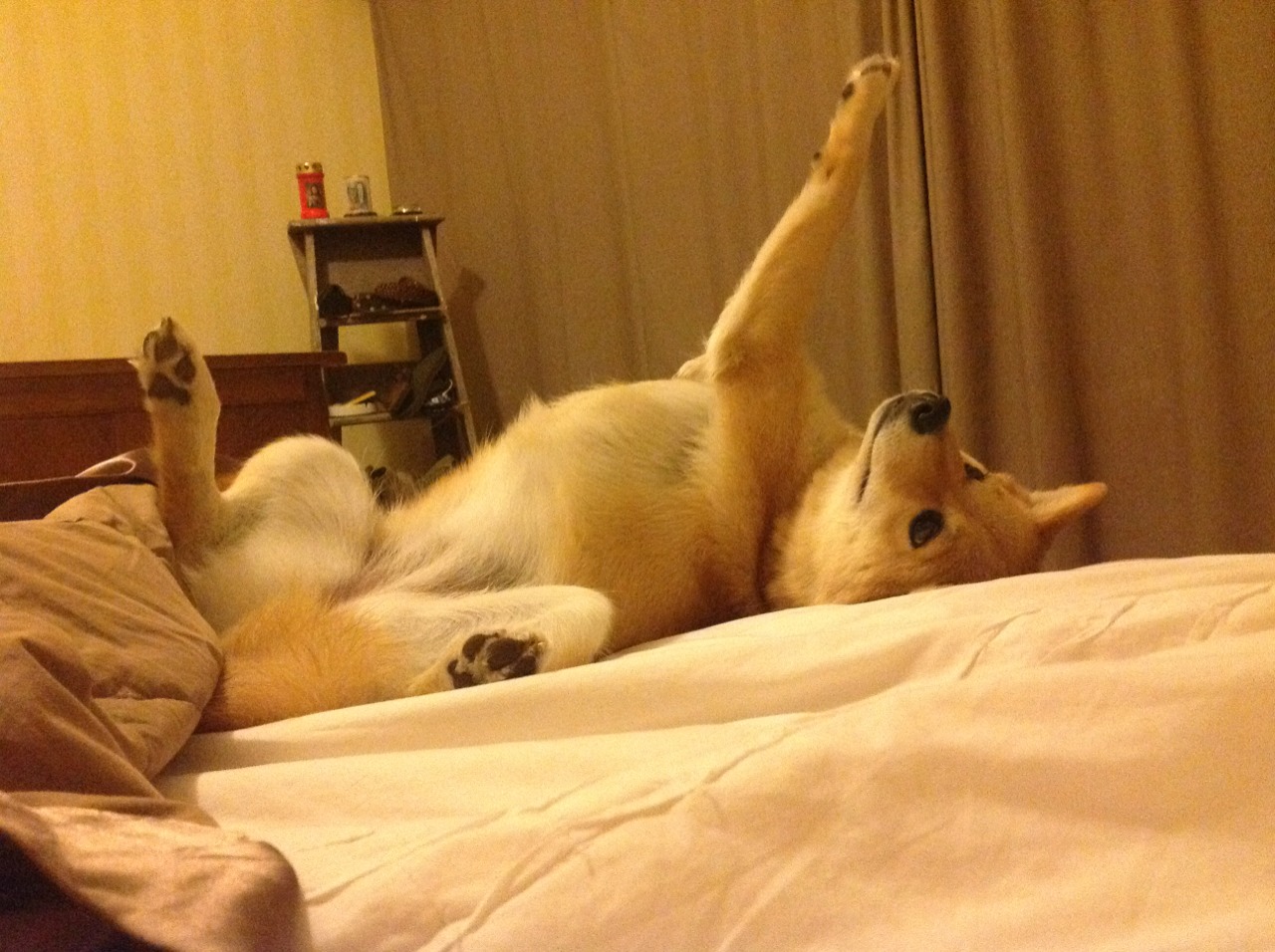 开云官网-加时鏖战与欧冠辉煌，雄鹿险胜步行者，拉文决赛独舞