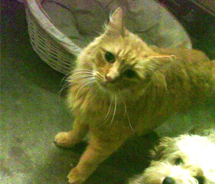 关键先生力挽狂澜，硬核热火逆境突围