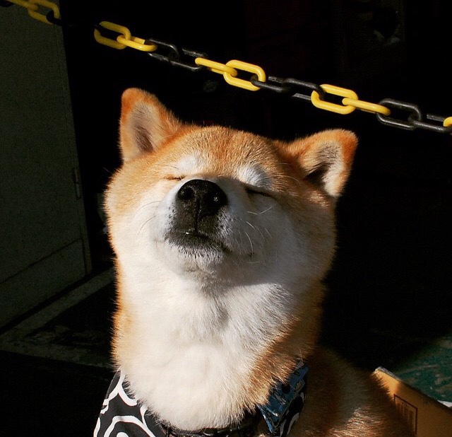 开云体育APP下载-绿茵闪电与极速狂飙，当阿拉巴在F1揭幕战接管比赛