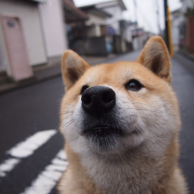 爆冷！山西队击溃马刺，库里末节封神成关键先生