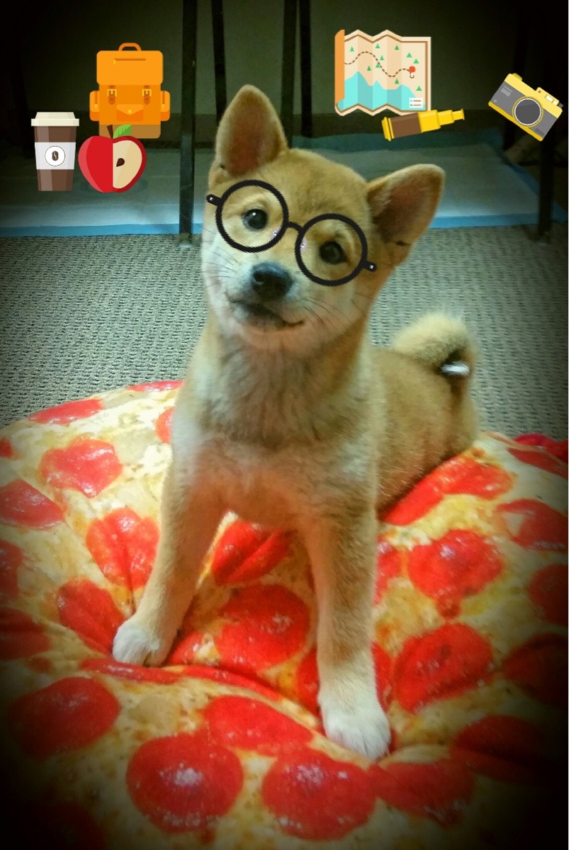 开云官网-雷霆制霸勇士，2026世界杯焦点战的震撼对决