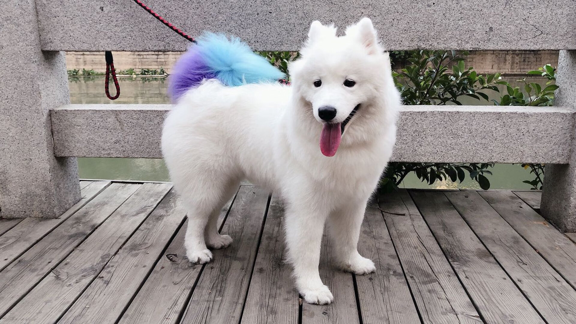 开云体育-魔法的临界点，当杰伦·格林在末节为爵士奏响终章