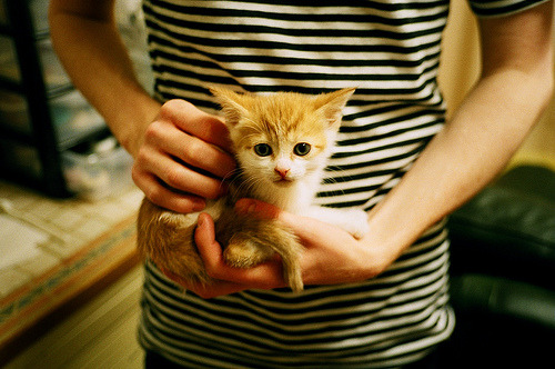 F1新赛季揭幕战，卡塞米罗的单引擎超车与丹麦足球的战术交响