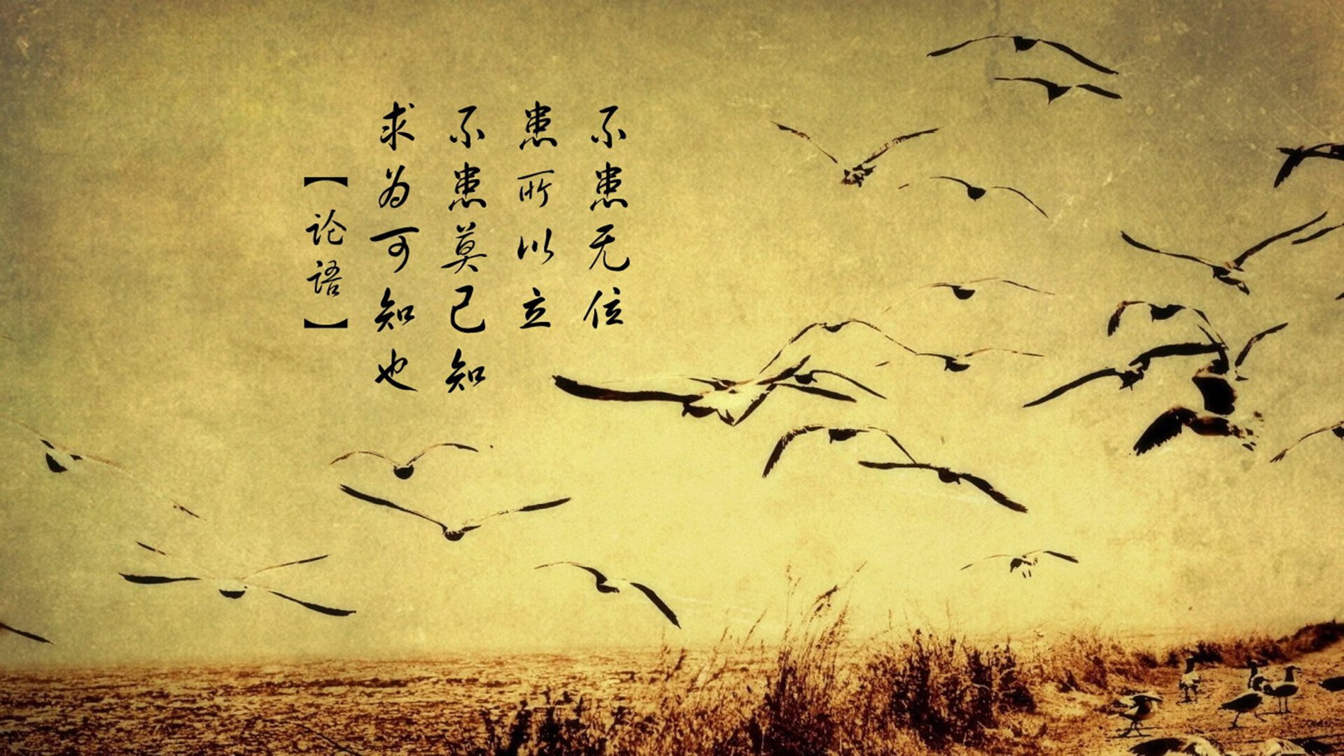 利刃刺穿雄鹿铁壁 欧文独舞撕裂密城