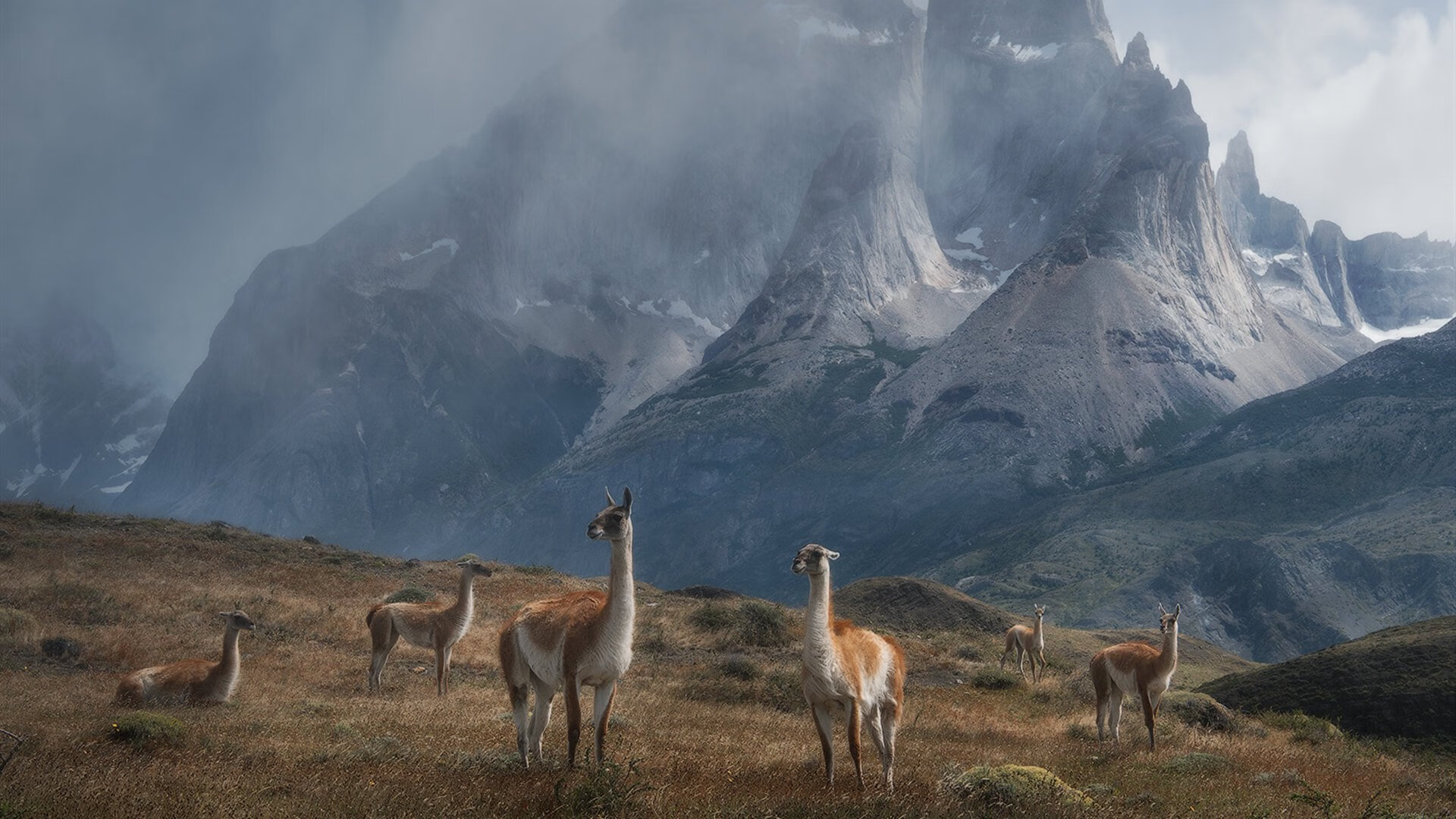星光炸裂与铁血鏖战，当楚阿梅尼轰鸣，太极虎在荆棘中亮出獠牙
